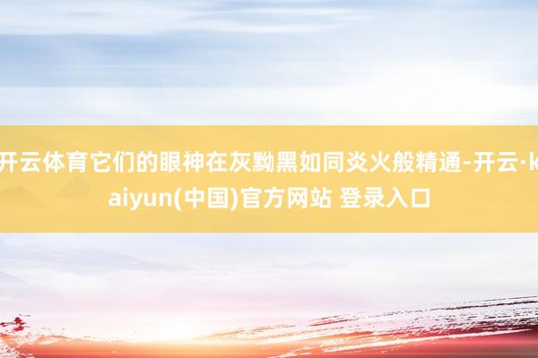 开云体育它们的眼神在灰黝黑如同炎火般精通-开云·kaiyun(中国)官方网站 登录入口