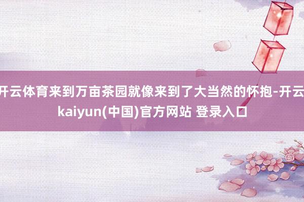 开云体育来到万亩茶园就像来到了大当然的怀抱-开云·kaiyun(中国)官方网站 登录入口
