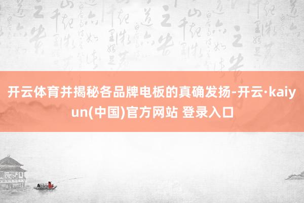 开云体育并揭秘各品牌电板的真确发扬-开云·kaiyun(中国)官方网站 登录入口