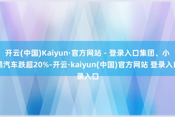 开云(中国)Kaiyun·官方网站 - 登录入口集团、小鹏汽车跌超20%-开云·kaiyun(中国)官方网站 登录入口