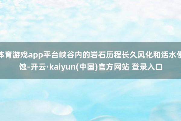 体育游戏app平台峡谷内的岩石历程长久风化和活水侵蚀-开云·kaiyun(中国)官方网站 登录入口