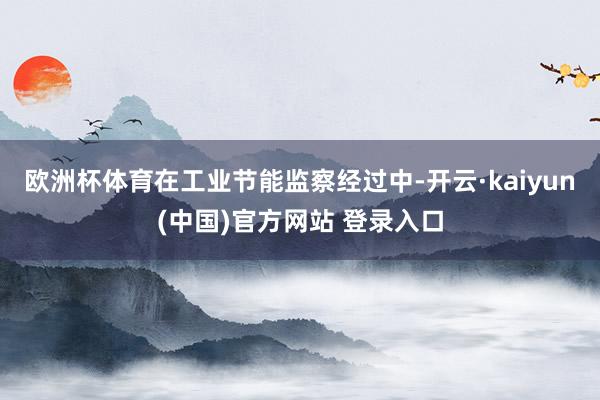 欧洲杯体育在工业节能监察经过中-开云·kaiyun(中国)官方网站 登录入口