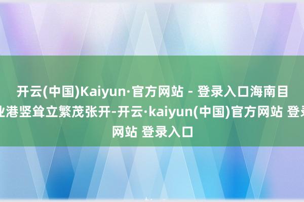 开云(中国)Kaiyun·官方网站 - 登录入口海南目田营业港竖耸立繁茂张开-开云·kaiyun(中国)官方网站 登录入口