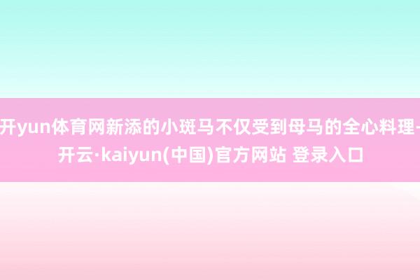 开yun体育网新添的小斑马不仅受到母马的全心料理-开云·kaiyun(中国)官方网站 登录入口