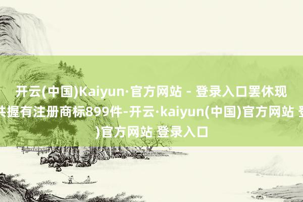 开云(中国)Kaiyun·官方网站 - 登录入口罢休现在公司共握有注册商标899件-开云·kaiyun(中国)官方网站 登录入口