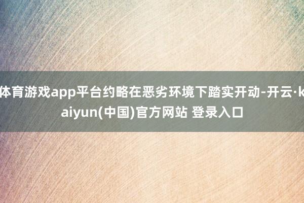 体育游戏app平台约略在恶劣环境下踏实开动-开云·kaiyun(中国)官方网站 登录入口