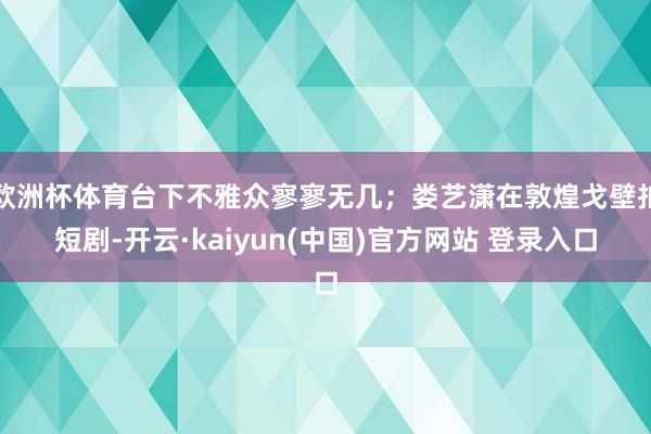 欧洲杯体育台下不雅众寥寥无几；娄艺潇在敦煌戈壁拍短剧-开云·kaiyun(中国)官方网站 登录入口