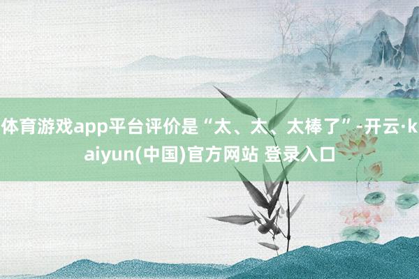 体育游戏app平台评价是“太、太、太棒了”-开云·kaiyun(中国)官方网站 登录入口