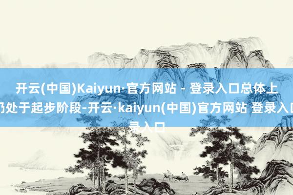 开云(中国)Kaiyun·官方网站 - 登录入口总体上仍处于起步阶段-开云·kaiyun(中国)官方网站 登录入口