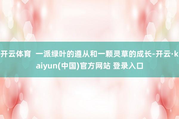 开云体育  一派绿叶的遵从和一颗灵草的成长-开云·kaiyun(中国)官方网站 登录入口